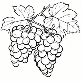 Winogrono Kolorowanka Pobierz Darmowe Wzory Do Wydruku winogrono-kolorowanka-pobierz-darmowe-wzory-do-wydruku
